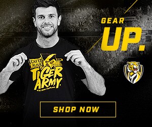 Tiger Army Tee - Google Ad - 300x250.jpg